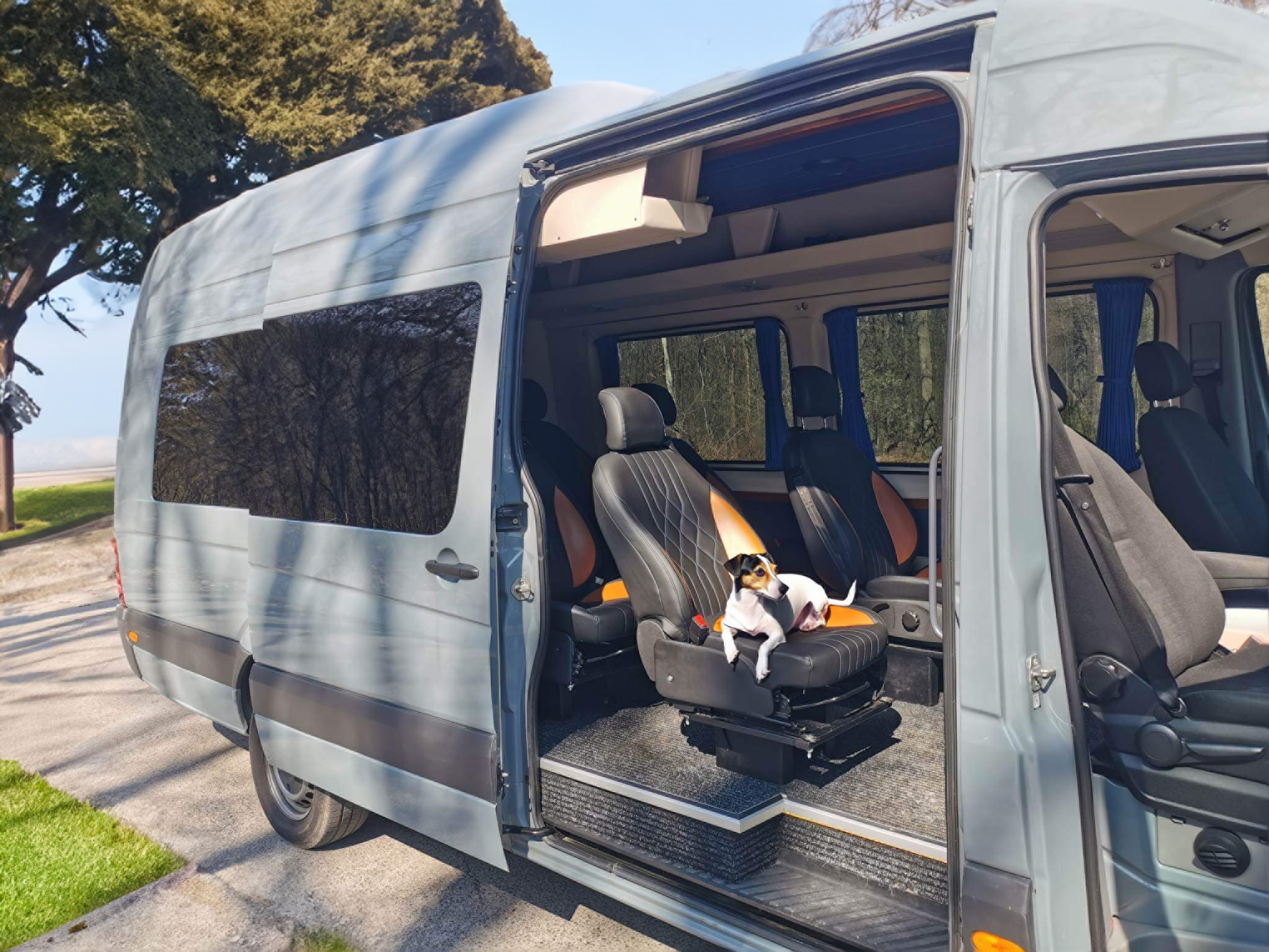 bus z psem Przewóz Busem Francja